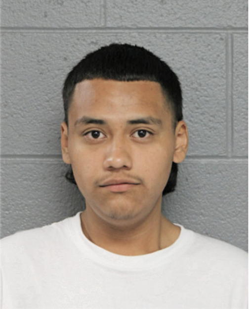 WILLIAM REYES, Cook County, Illinois