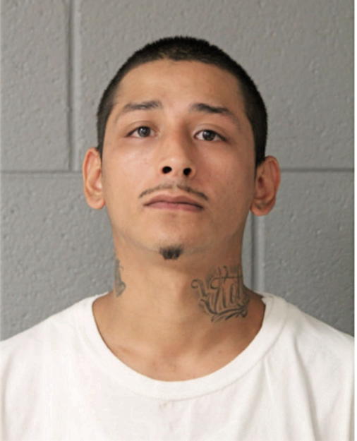 RAYMOND JR. REYES, Cook County, Illinois