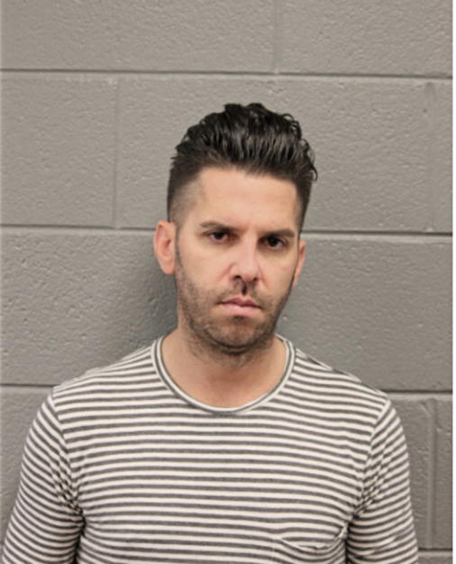 MATTHEW L LASKY, Cook County, Illinois