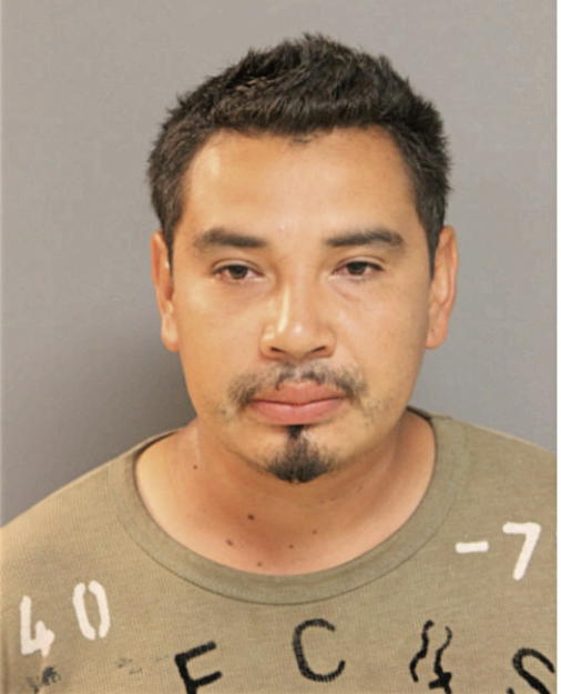 RICARDO MARTINEZ-CERVANTES, Cook County, Illinois