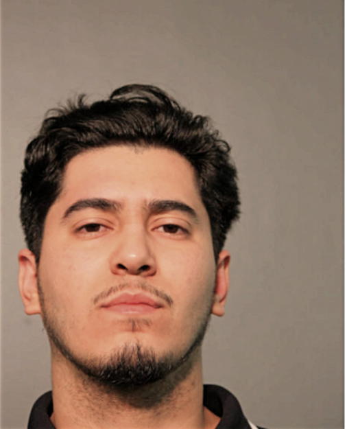 ANDRES A CHAVEZ, Cook County, Illinois