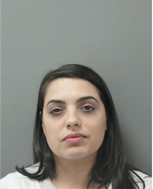 TIFFANY ROZZI, Cook County, Illinois