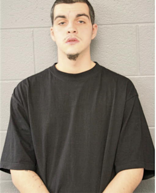 SEBASTIAN PIETRZYK, Cook County, Illinois