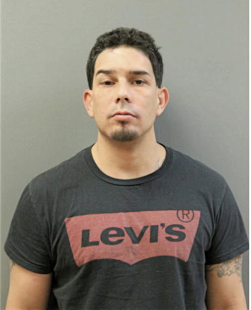 GABRIEL NAVARRO-ACOSTA, Cook County, Illinois