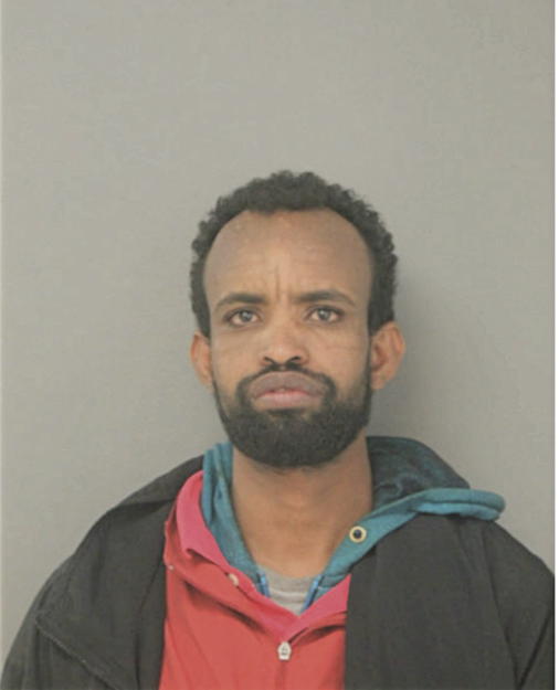 HASSAN A MOHAMMED, Cook County, Illinois