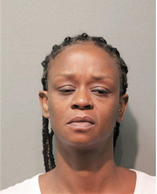 YVONNE D MANNING, Cook County, Illinois
