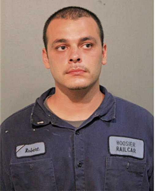 ROBERT J SALINAS, Cook County, Illinois