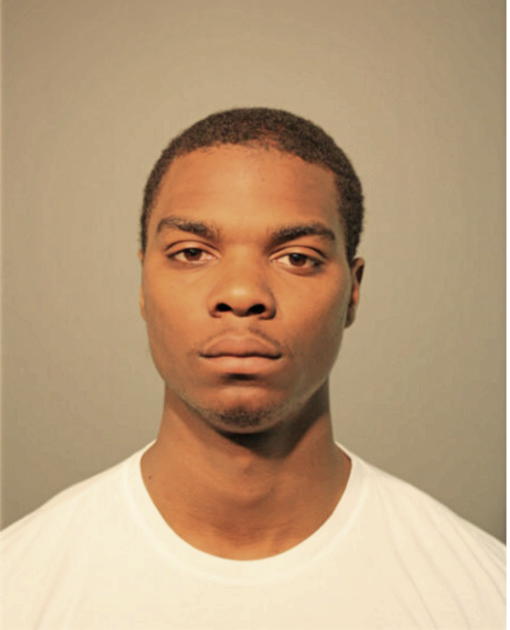 SEAN E JOHNSON, Cook County, Illinois