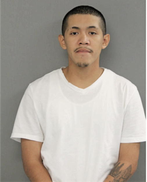 MICHAEL A MARTINEZ, Cook County, Illinois