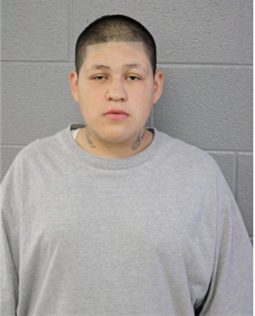 ERIC JARA, Cook County, Illinois