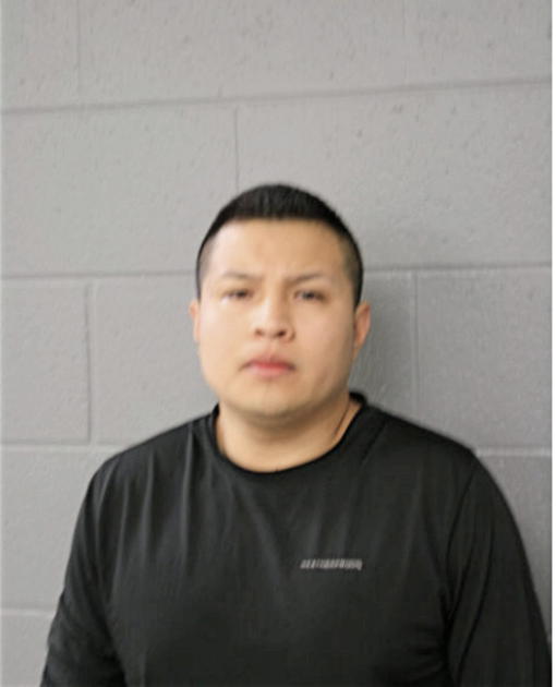 LUIS A MARTINEZ, Cook County, Illinois