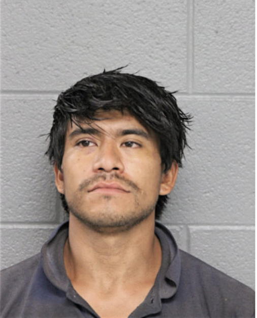 MISAEL M MELCHOR, Cook County, Illinois