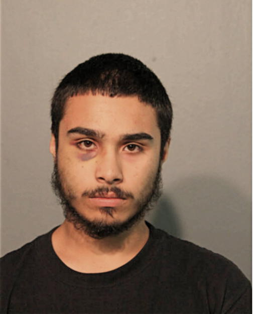 JOSHUA M MOHAMMED, Cook County, Illinois