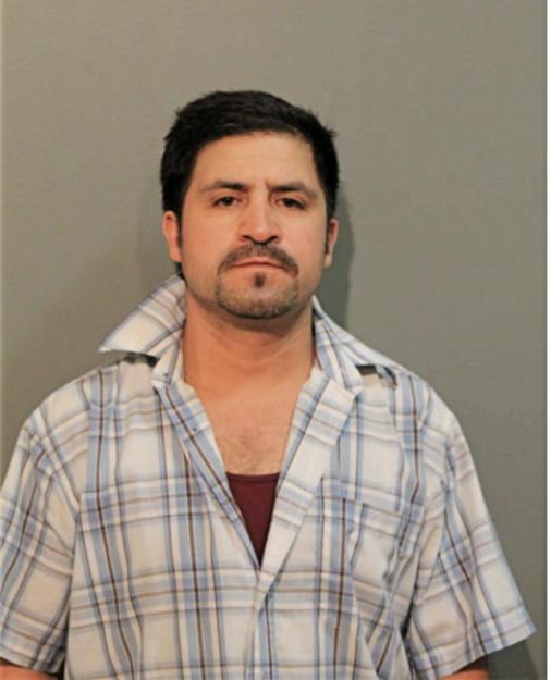 LUIS F GUERRERO-GOMEZ, Cook County, Illinois