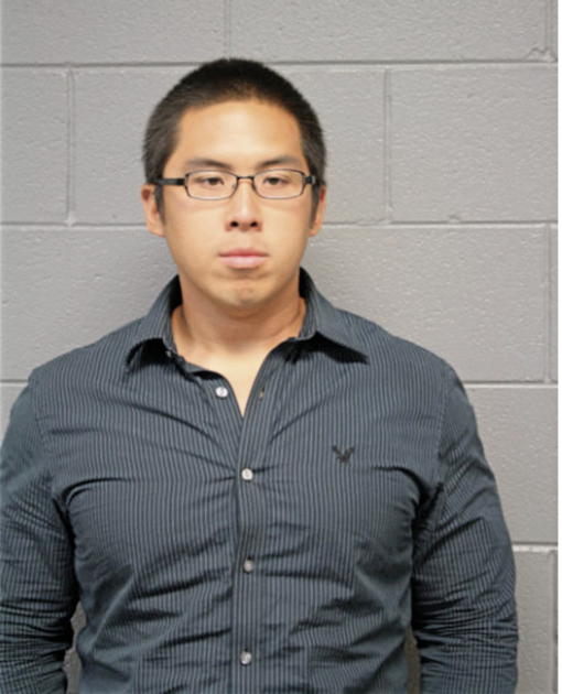 PETER LIN, Cook County, Illinois