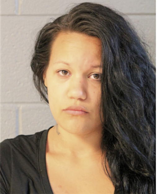 ROSELLEN M NUNEZ, Cook County, Illinois