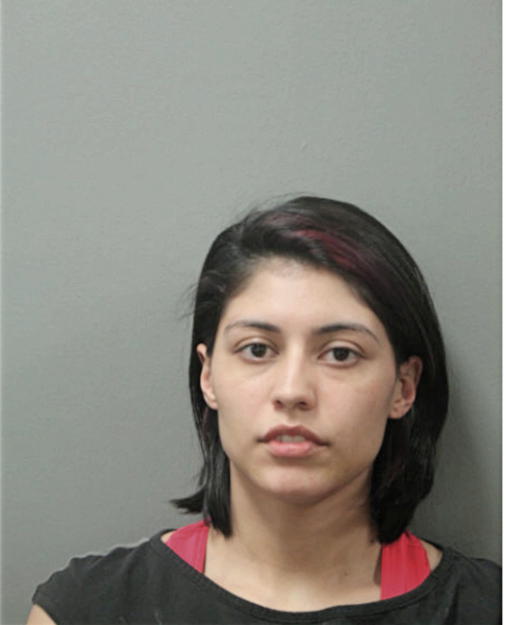 STEPHANIE M RODRIGUEZ, Cook County, Illinois