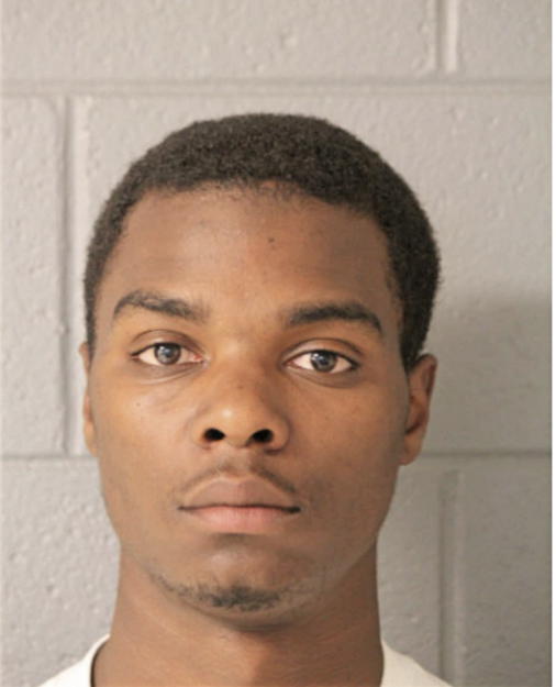 SEAN E JOHNSON, Cook County, Illinois