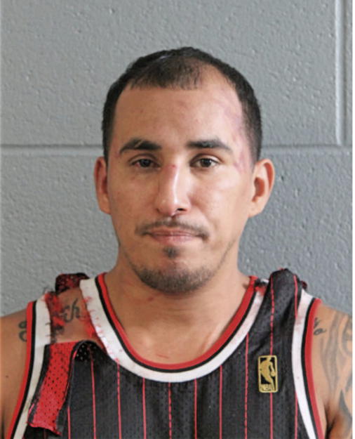 SERGIO SAUCEDA, Cook County, Illinois