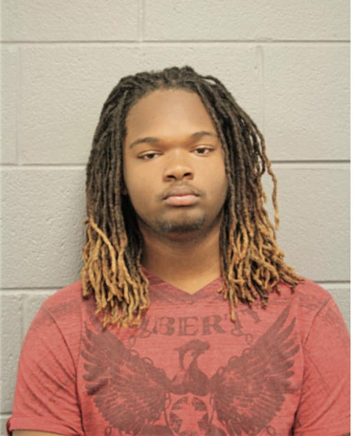 TYRAN T NORRIS, Cook County, Illinois