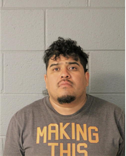 LEONEL GONZALEZ, Cook County, Illinois