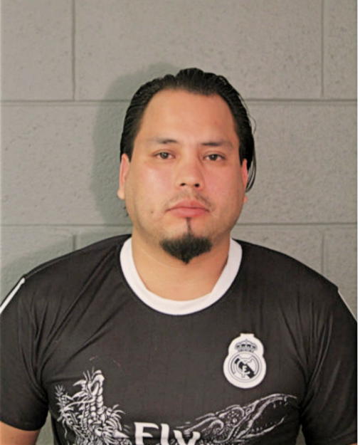 MANUEL REYES, Cook County, Illinois