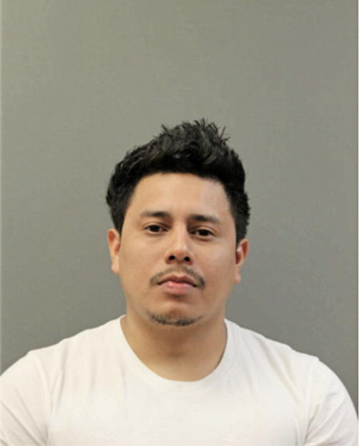 WALTER REYES PEREZ PINEDA, Cook County, Illinois