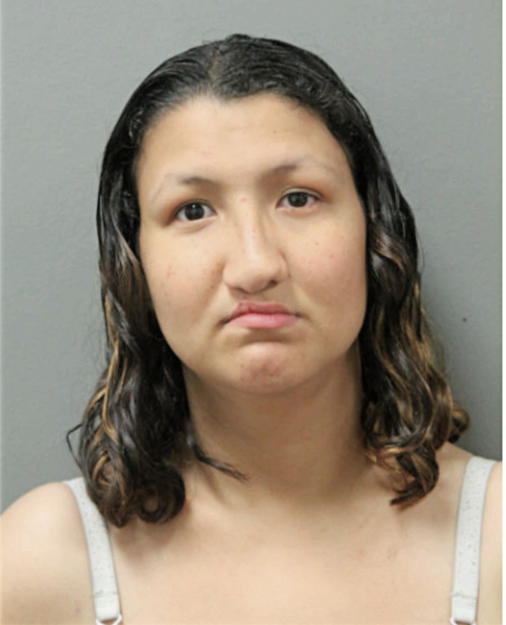 MARIA FERNANDA RAMIREZ, Cook County, Illinois