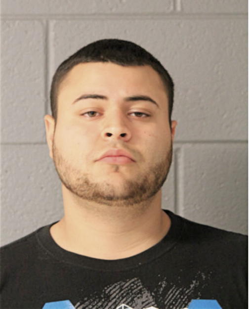 MICHAEL A SOTO, Cook County, Illinois