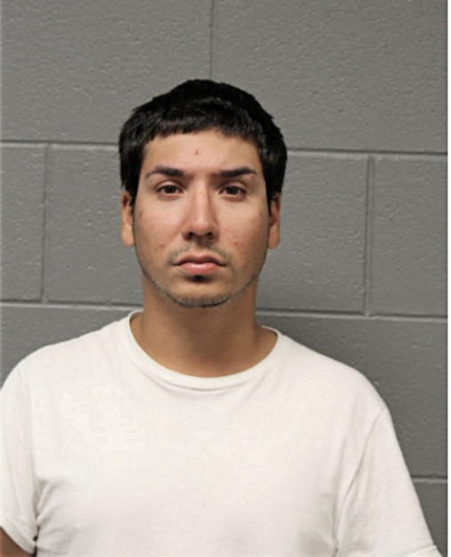 ERIK RUIZ, Cook County, Illinois