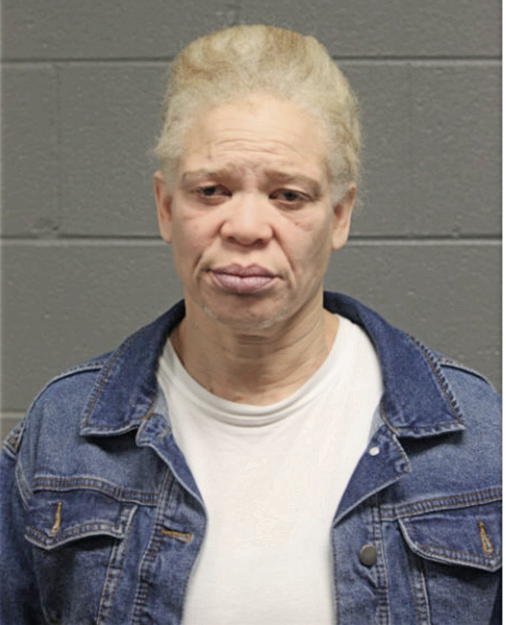 JANIS E MAYES, Cook County, Illinois