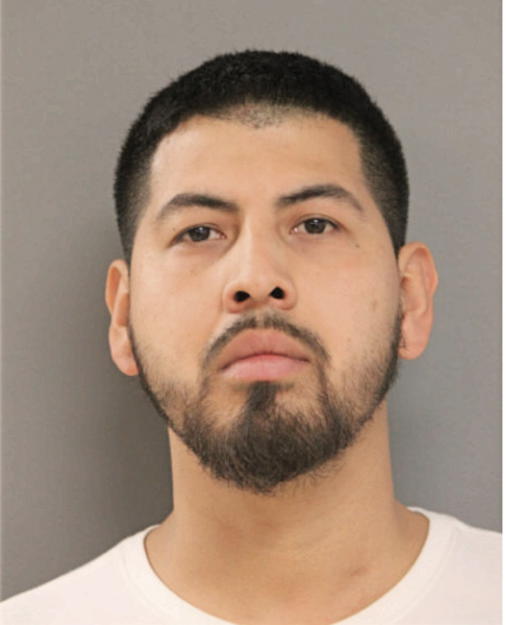 LUIS D SANTANA-GUZMAN, Cook County, Illinois