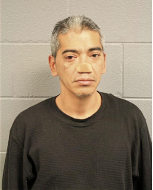 RAMIRO DELGADO, Cook County, Illinois