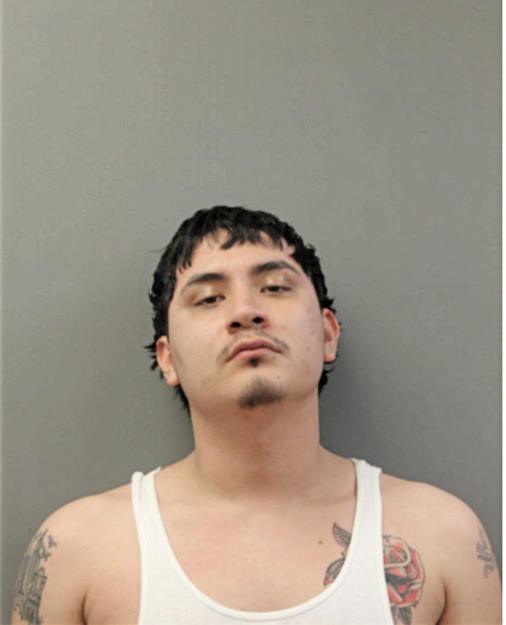 VICTOR J RODRIGUEZ, Cook County, Illinois