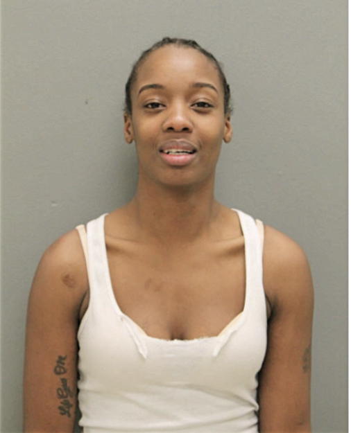 AYANA R JAMERSON, Cook County, Illinois