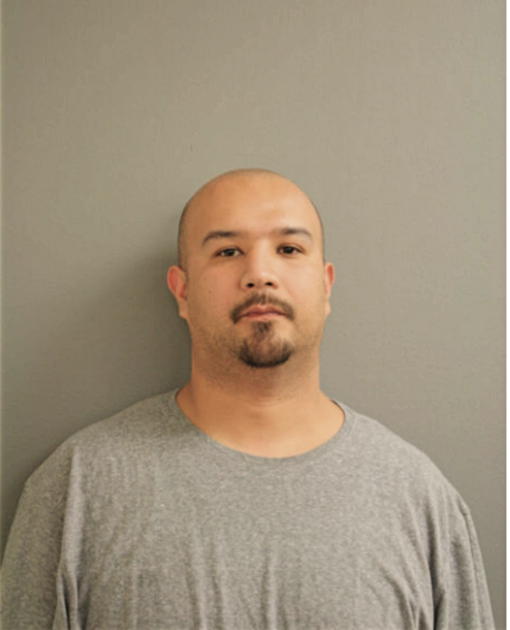 EDGAR G SANCHEZ, Cook County, Illinois