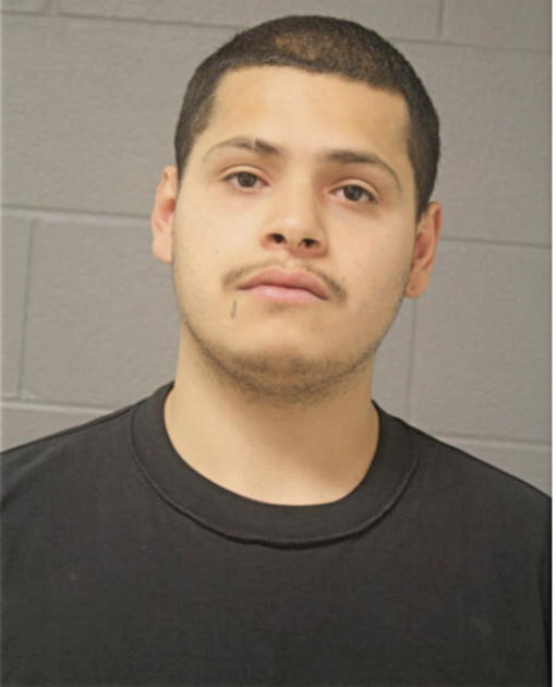 MANUEL D ROBLES, Cook County, Illinois