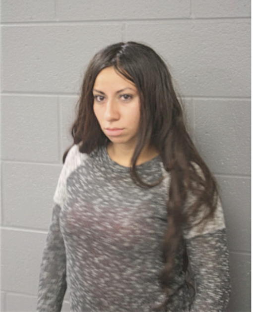 ANGELICA H GARCIA, Cook County, Illinois