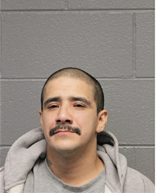 PAUL J MAGANA, Cook County, Illinois