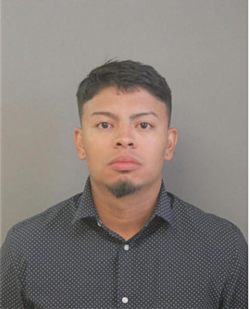 LUIS A MARTINEZ-PEREYNA, Cook County, Illinois