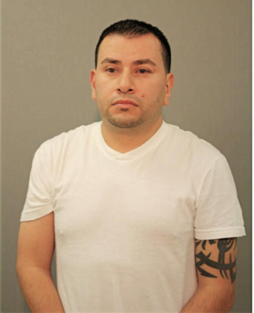 ROBERTO A MARTINEZ, Cook County, Illinois