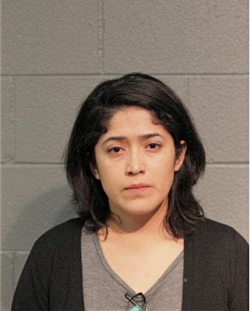NAYHELY J CURIEL, Cook County, Illinois