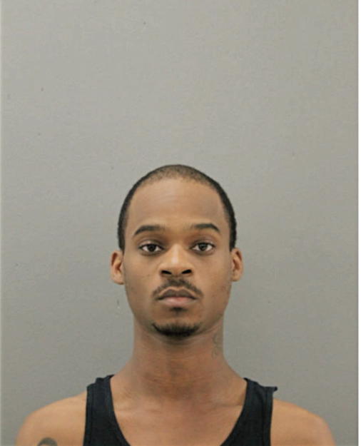 STEPHON P DICKERSON, Cook County, Illinois