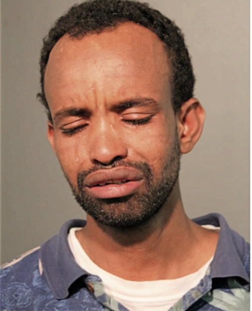 MOHAMMED HASSAN, Cook County, Illinois