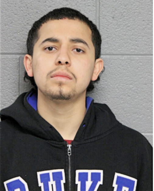 JULIAN GONZALEZ, Cook County, Illinois