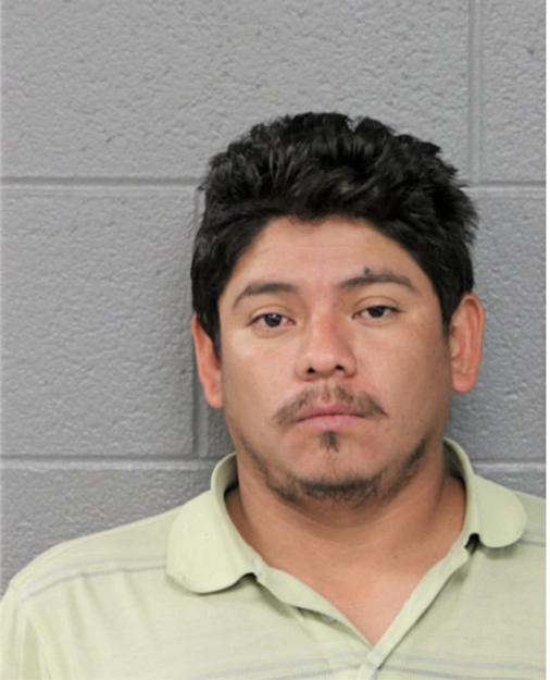 SERGIO CARDOSO, Cook County, Illinois