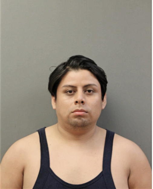 MYNOR A CIPRIANO CHAVEZ, Cook County, Illinois
