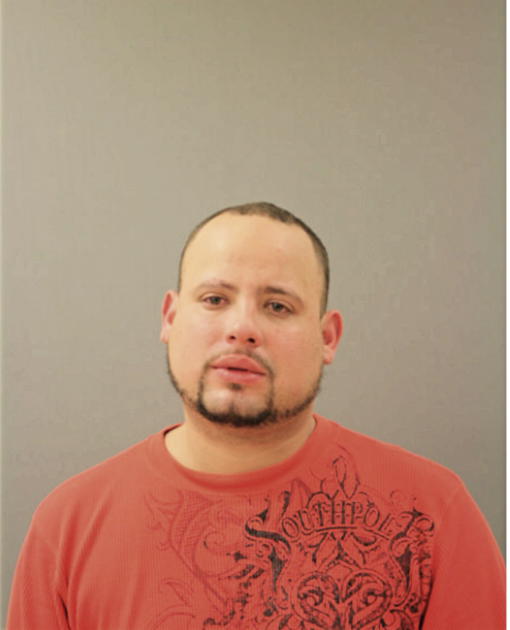 DAVID A RODRIGUEZ, Cook County, Illinois