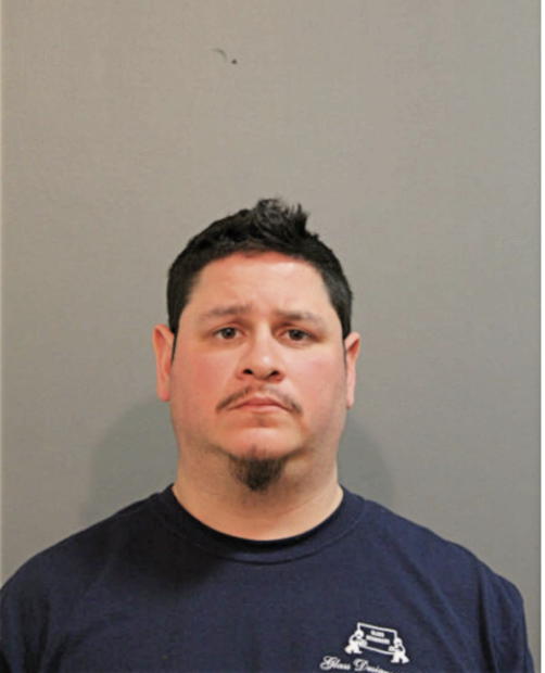 ANDRES S GUERRA, Cook County, Illinois