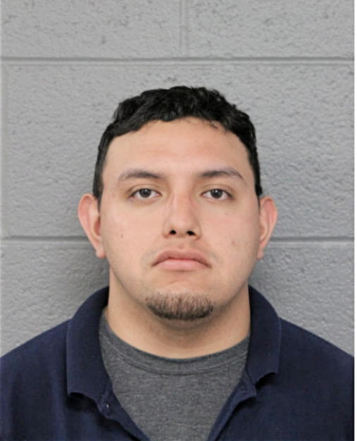 MARCO A ORTEGA, Cook County, Illinois